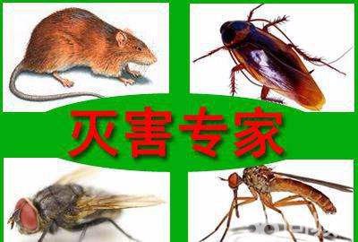 服務項目與范圍
